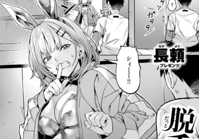 脱兎は祭りの日に跳ねる