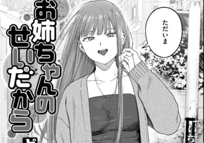 お姉ちゃんのせいだから