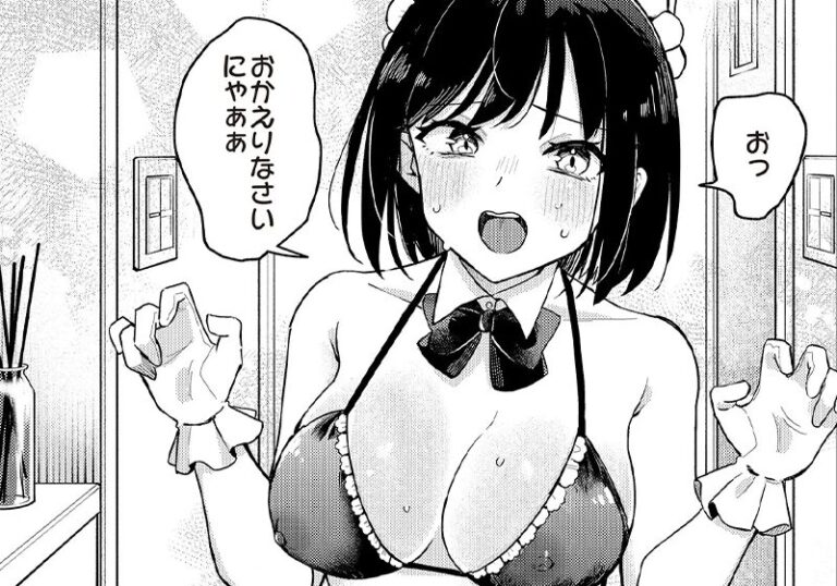 純愛『わくわくコスプレ夫婦計画』